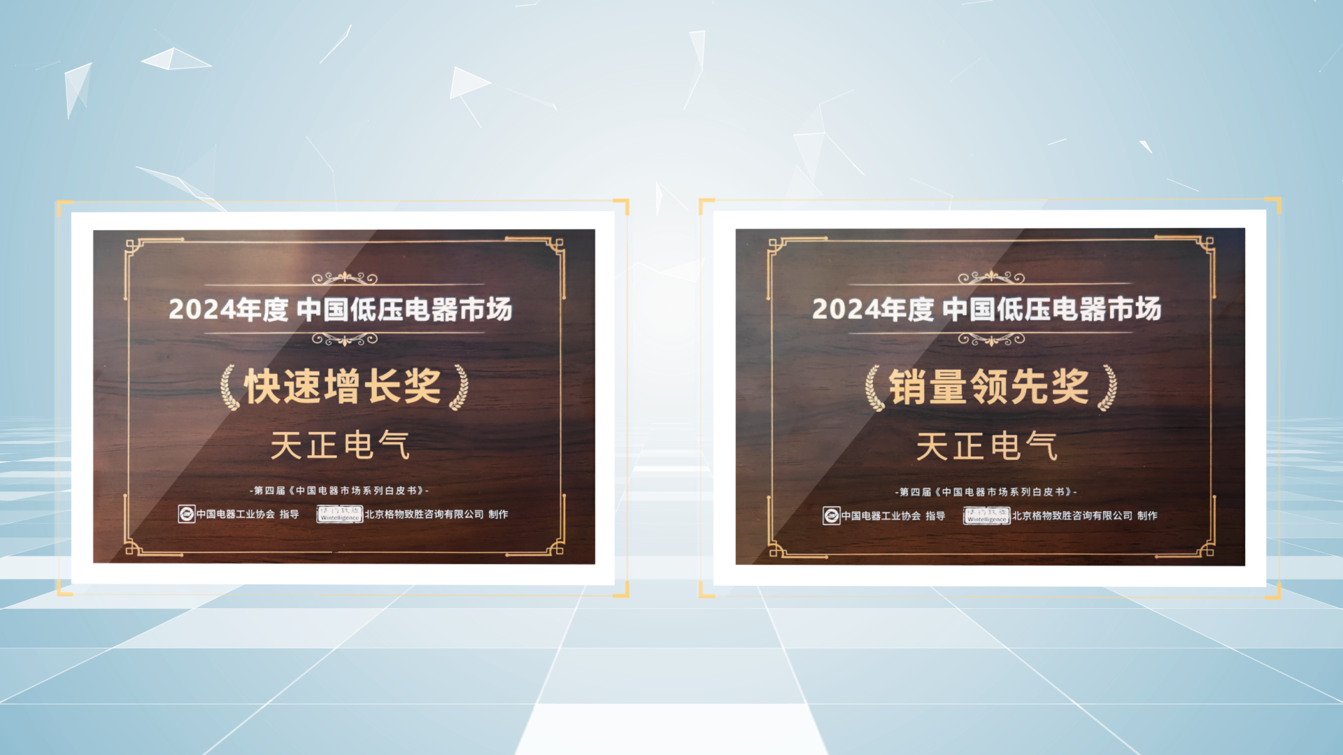 销量领先、快速增长丨pg模拟器试玩在线荣膺2项行业年度大奖